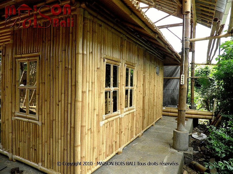 africa_afrique_forêt_forest_deforestation_sustainable__wood_bois_culture_agriculture_asia_asie_china_chine_india_inde_vietnam_laos_bali_development_architecture_house_moso_bambou_bamboo_bambu_bambusa_développement_durable_cop_21